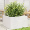 Image de vidaXL Jardinière blanc 80x80x46 cm bois de pin massif