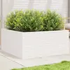 Image de vidaXL Jardinière blanc 100x100x46 cm bois de pin massif