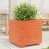 Image de vidaXL Jardinière cire marron 50x50x49,5 cm bois de pin massif