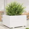 Image de vidaXL Jardinière blanc 80x80x49,5 cm bois de pin massif