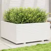 Image de vidaXL Jardinière blanc 100x100x49,5 cm bois de pin massif