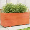 Image de vidaXL Jardinière cire marron 110x40x49,5 cm bois de pin massif