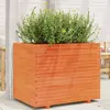 Image de vidaXL Jardinière cire marron 90x60x72 cm bois de pin massif