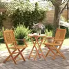 Image de vidaXL Ensemble de bistro pliable 3 pcs bois d'acacia solide