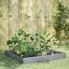 Image de vidaXL Lit surélevé de jardin 100x100x26 cm acier inoxydable