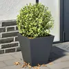 Image de vidaXL Jardinières 2 pcs anthracite 30x30x30 cm acier