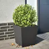 Image de vidaXL Jardinière noir 40x40x40 cm acier
