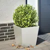 Image de vidaXL Jardinière 40x40x40 cm acier inoxydable