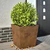 Image de vidaXL Jardinières 2 pcs 50x50x50 cm acier résistant aux intempéries