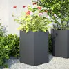 Image de vidaXL Jardinières 2 pcs anthracite hexagone 46x40x45 cm acier
