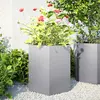Image de vidaXL Jardinières 2 pcs hexagone 46x40x45 cm acier galvanisé