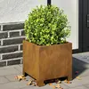 Image de vidaXL Jardinières 2 pcs 30x30x30 cm acier résistant aux intempéries