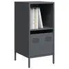 Image de vidaXL Buffet anthracite 35x39x73,5 cm acier laminé à froid