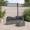 Image de vidaXL Salon de jardin 4 pcs avec coussins gris résine tressée