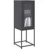 Image de vidaXL Buffet anthracite 36x39x107 cm acier laminé à froid
