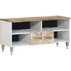Image de vidaXL Meuble TV 100x33,5x46 cm bois massif de manguier