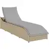 Image de vidaXL Chaise longue pliante coussin et rangement beige résine tressée