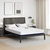 Image de vidaXL Matelas Blanc et Bleu 160 x 200 cm Tissu jacquard