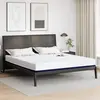 Image de vidaXL Matelas Blanc et Bleu 180 x 200 cm Tissu jacquard