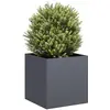 Image de vidaXL Jardinière anthracite 40x40x40 cm acier laminé à froid