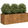 Image de vidaXL Jardinière rouillé 120x40x40 cm acier inoxydable