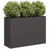 Image de vidaXL Jardinière noir 120x40x80 cm acier laminé à froid