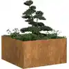 Image de vidaXL Jardinière rouillé 80x80x40 cm acier inoxydable