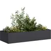 Image de vidaXL Jardinière noir 200x80x40 cm acier