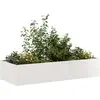 Image de vidaXL Jardinière 200x80x40 cm acier inoxydable