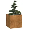 Image de vidaXL Jardinière rouillé 80x80x80 cm acier inoxydable, pot de fleurs, support de plantes, lit surélevé, support de jardinière, bac à plantes