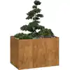 Image de vidaXL Jardinière rouillé 120x80x80 cm acier inoxydable