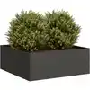 Image de vidaXL Jardinière noir 80x80x30 cm acier