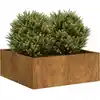 Image de vidaXL Jardinière rouillé 80x80x30 cm acier inoxydable