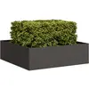 Image de vidaXL Jardinière noir 100x100x30 cm acier