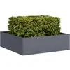 Image de vidaXL Jardinière anthracite 100x100x30 cm acier