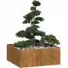 Image de vidaXL Jardinière rouillé 100x100x40 cm acier inoxydable