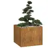 Image de vidaXL Jardinière rouillé 100x100x80 cm acier inoxydable