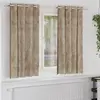 Image de vidaXL Rideaux en velours 2 pcs Champagne 175 x 140 cm Velours