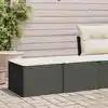 Image de vidaXL Salon de jardin avec coussins 2 pcs noir résine tressée acacia