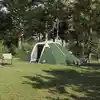 Image de vidaXL Tente Tunnel avec toit Vert 510 x 240 x 156 cm taffetas
