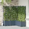Image de vidaXL Cache-pot de jardin 5 pc Gris 120 x 120 x 143 cm PP