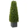 Image de vidaXL Tour en Herbe Eucalyptus Vert 27 x 27 x 90 cm Plastique