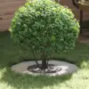 Image de vidaXL adapté pour anneau d'arbre plat Argent Ø30 / 60 cm