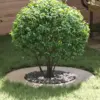Image de vidaXL adapté pour anneau d'arbre plat Argent Ø40 / 70 cm