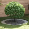 Image de vidaXL adapté pour anneaux d'arbre plats 5 pcs Argent Ø90 / 120 cm