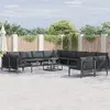 Image de vidaXL Ensemble de canapé de jardin 14 pc Noir Acier