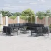 Image de vidaXL Ensemble de canapé de jardin 11 pc Noir Acier