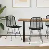 Image de vidaXL Chaise de salle à manger 2 pc Rotin et métal Noir