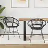 Image de vidaXL Chaise de salle à manger 2 pcs Rotin et métal Noir