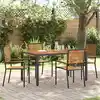 Image de vidaXL Chaises empilables de jardin 4 pcs Marron et Noir